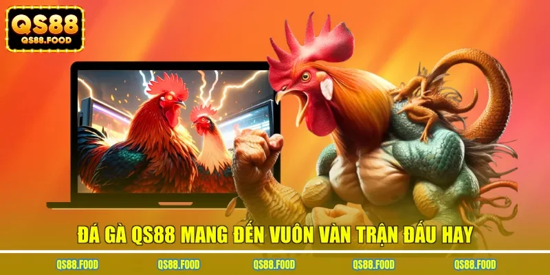Đá gà QS88 mang đến vuôn vàn trận đấu hay