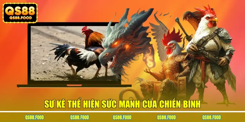 Sư kê thể hiện sức mạnh của chiến binh