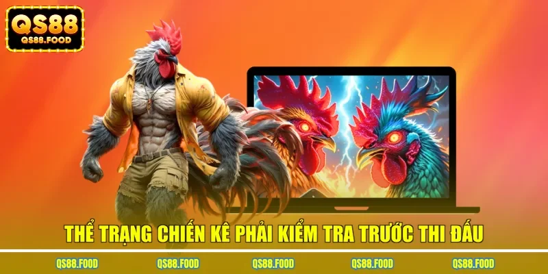 Thể trạng chiến kê phải kiểm tra trước thi đấu